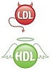 hdl kolesterol ldl kolesterol