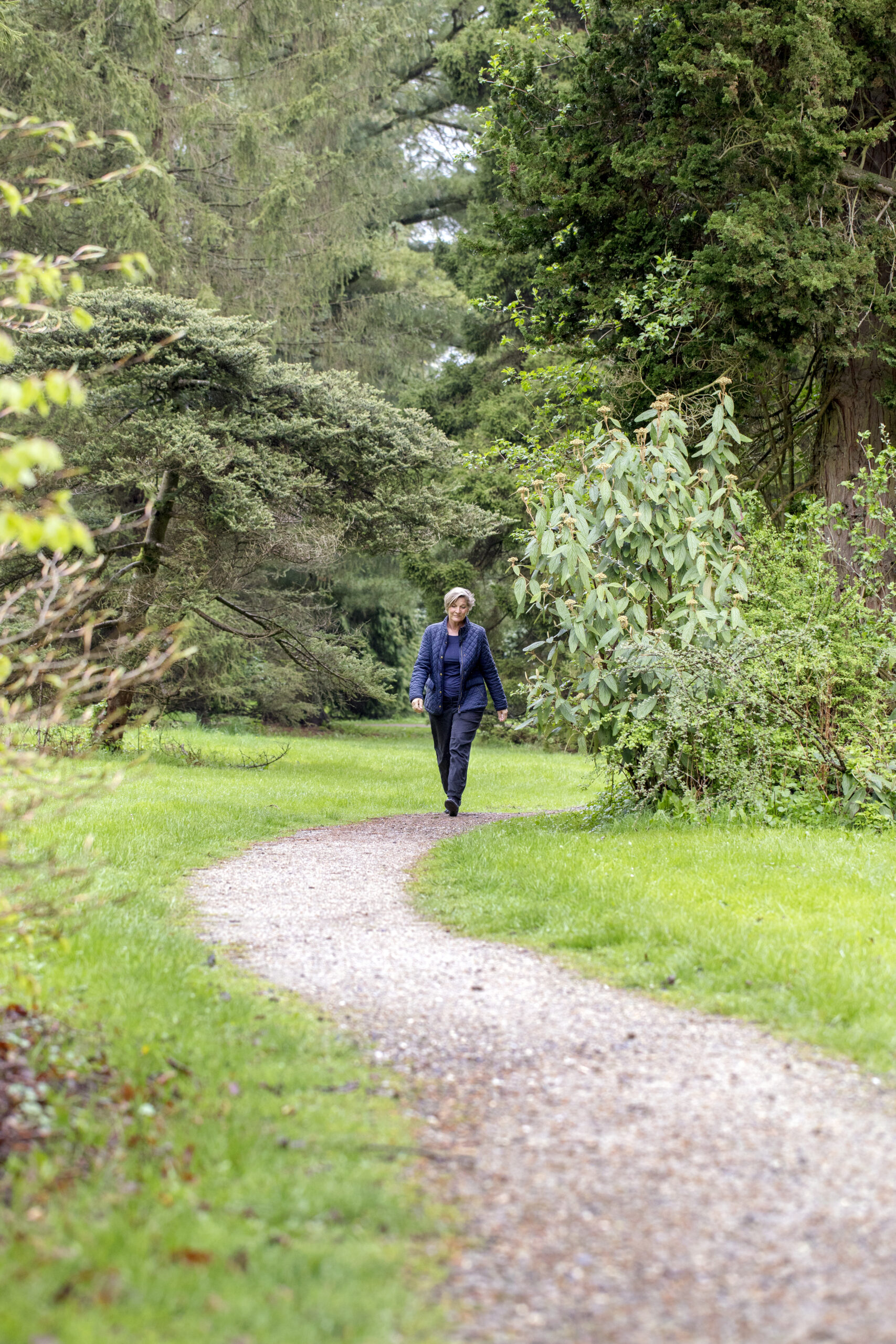 Værdien af en daglig gåtur