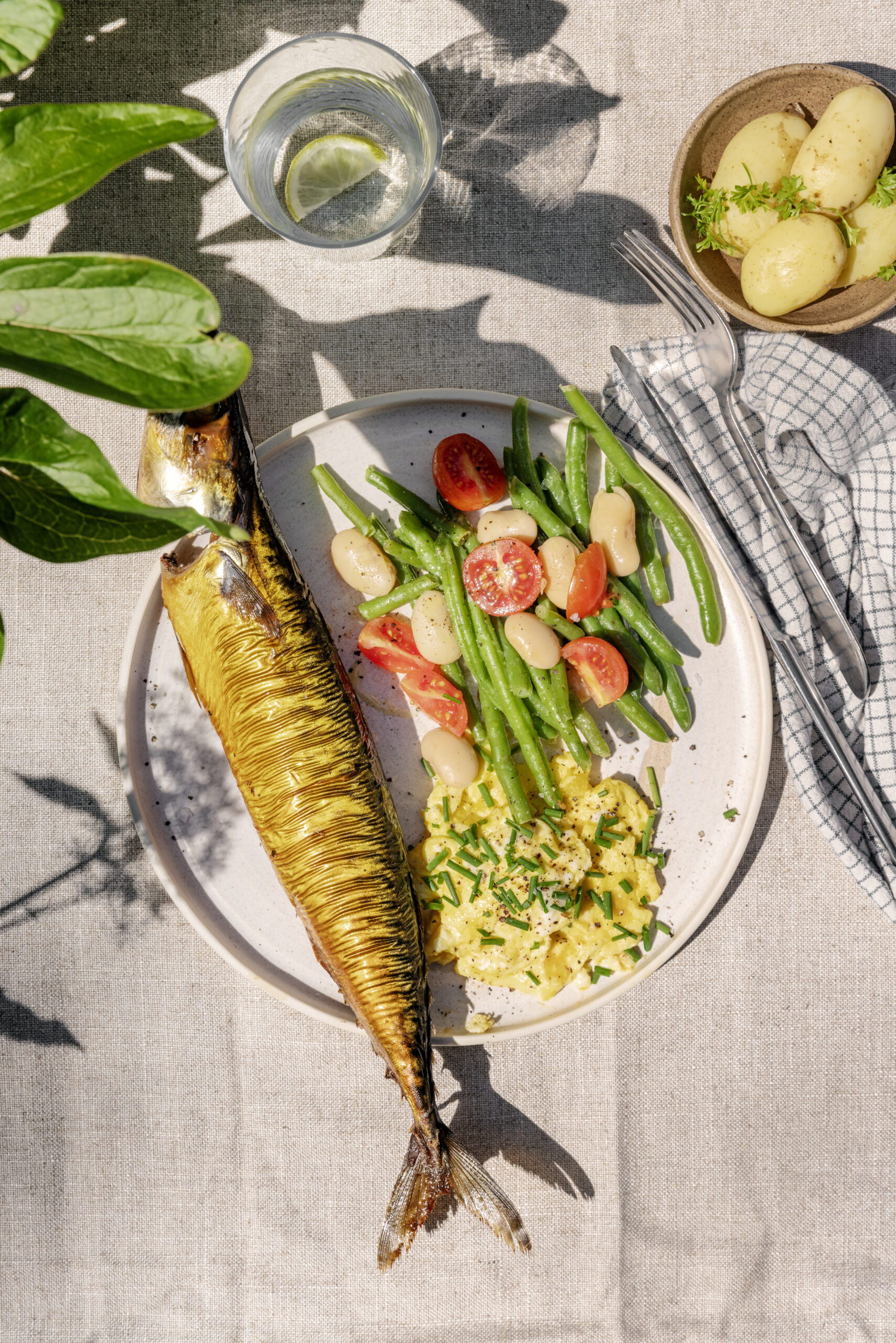 Roeget makrel med boennesalat Roeget makrel med boennesalat